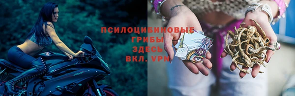 гидропоника Аркадак
