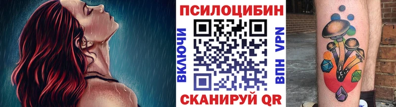 Галлюциногенные грибы Magic Shrooms  закладка  Сольвычегодск 